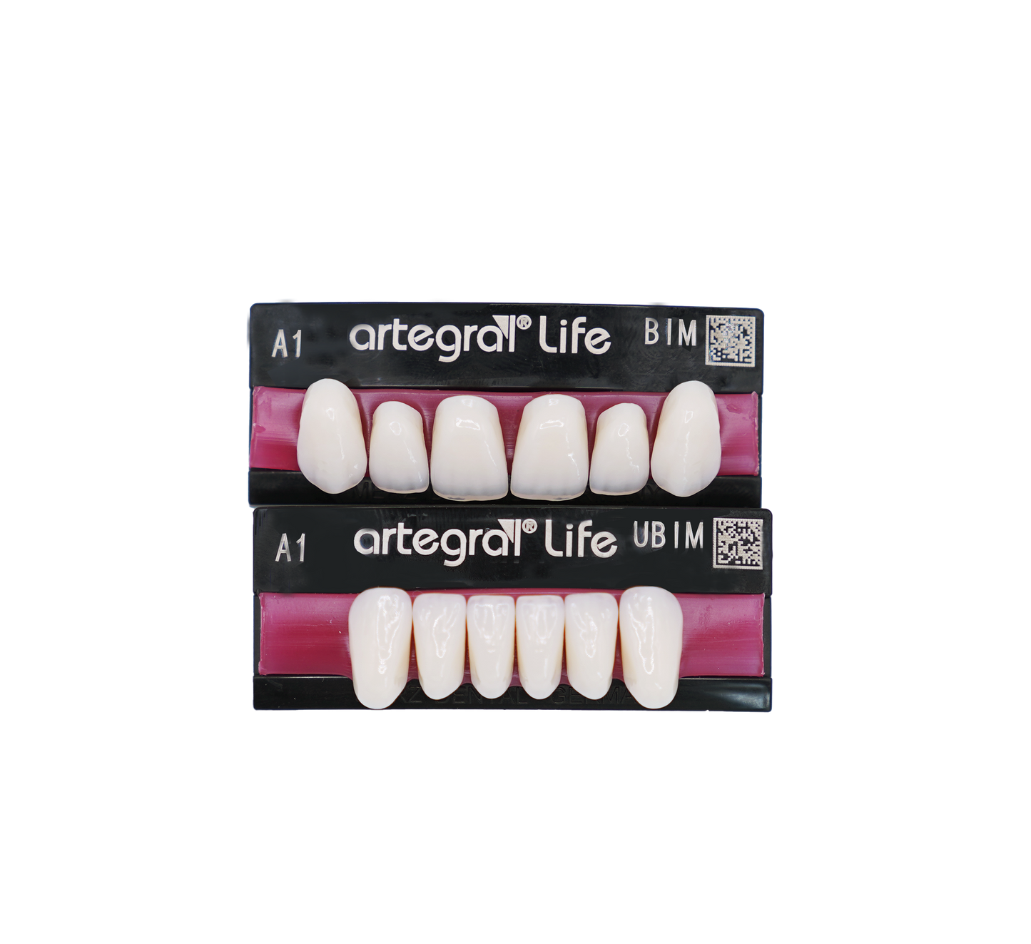 Anterior 5 layer