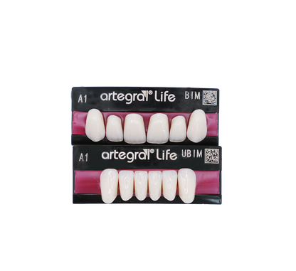 Anterior 5 layer